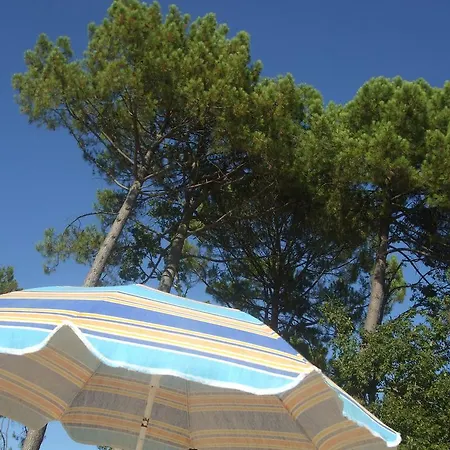 Les Oiseaux - Chambres D'hotes *